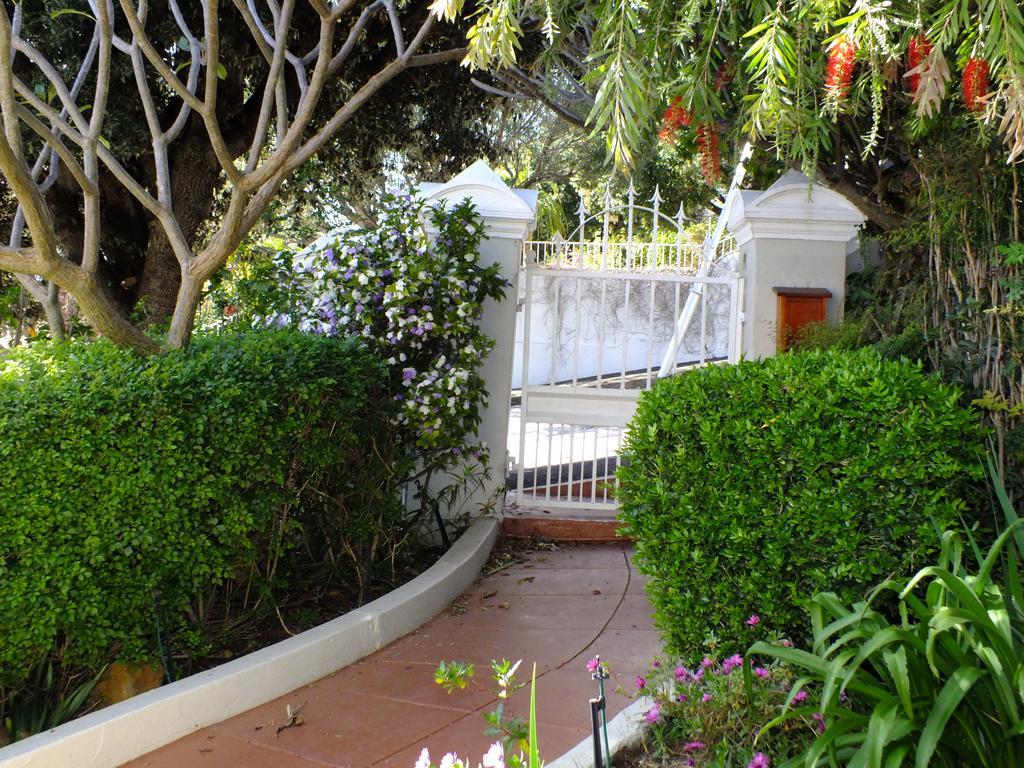 Villa Zeezicht Ciudad del Cabo Exterior foto